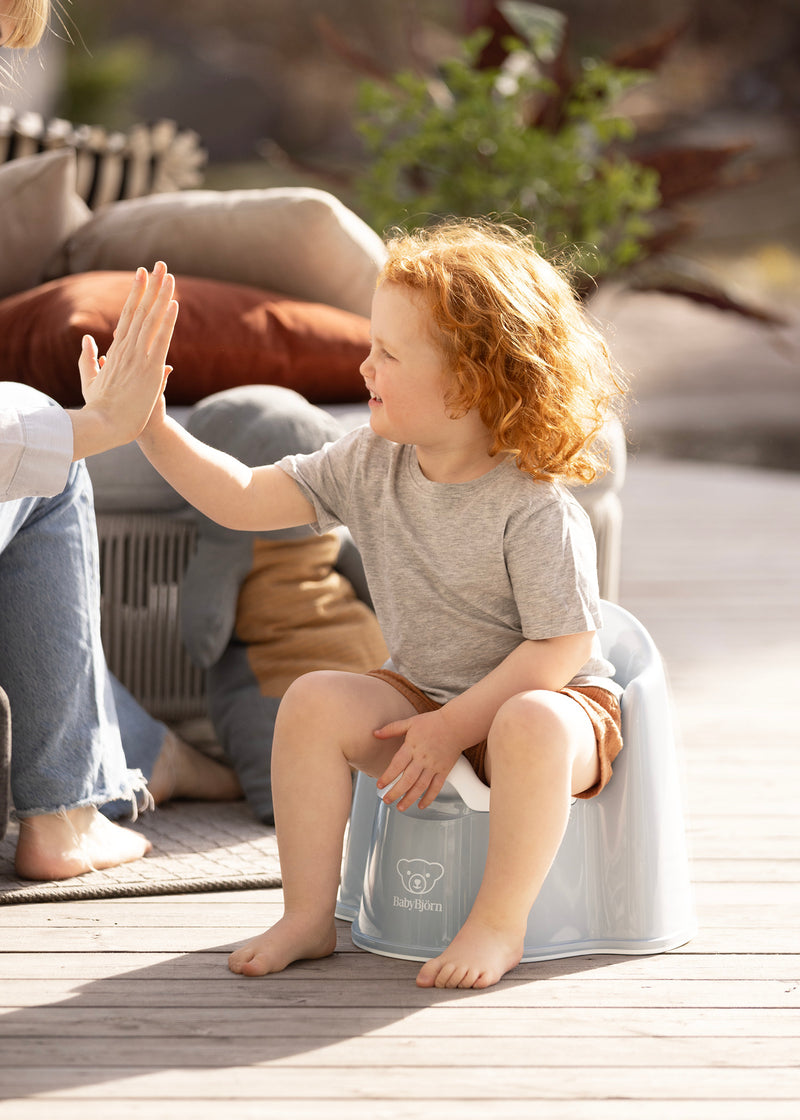 Potty Chair