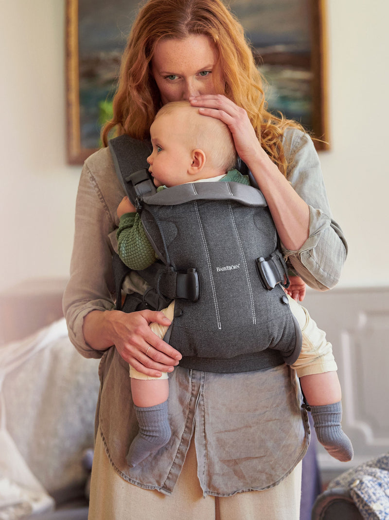 Baby Carrier One