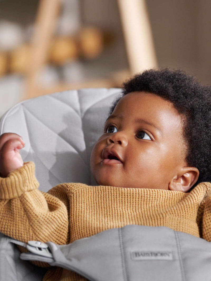 Bouncer Bundle with Toy